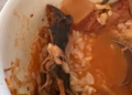 Rat dans une soupe, un restaurant fermé aux USA