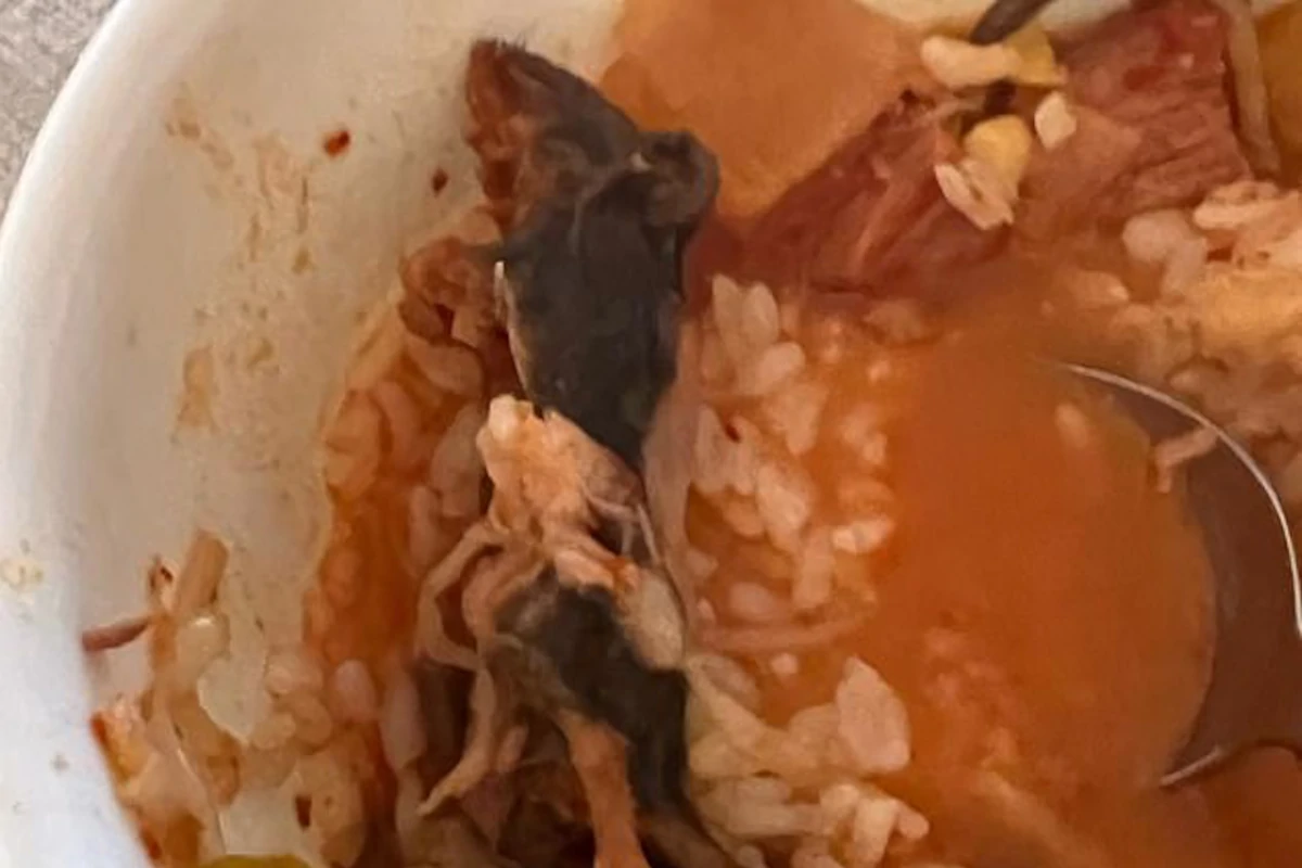 Rat dans une soupe, un restaurant fermé aux USA