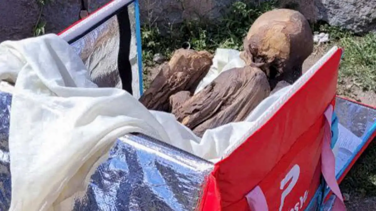 Une momie de près de 800 ans découverte chez un ex-livreur au Pérou
