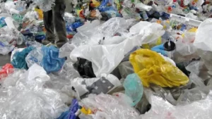 Lutte contre les sachets plastiques non biodégradables : Un défi persistant