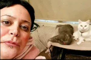 Incroyable: cette femme se prive de repas pour nourrir ses chats