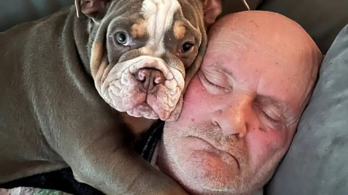 Son chien le mord durant son sommeil, mais cela lui sauve la vie