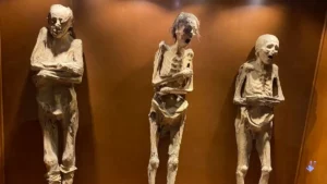 Des momies inquiètent les autorités du Mexique (vidéo)