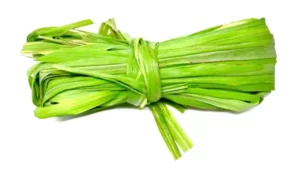 La citronnelle: un trésor de bienfaits et de saveurs
