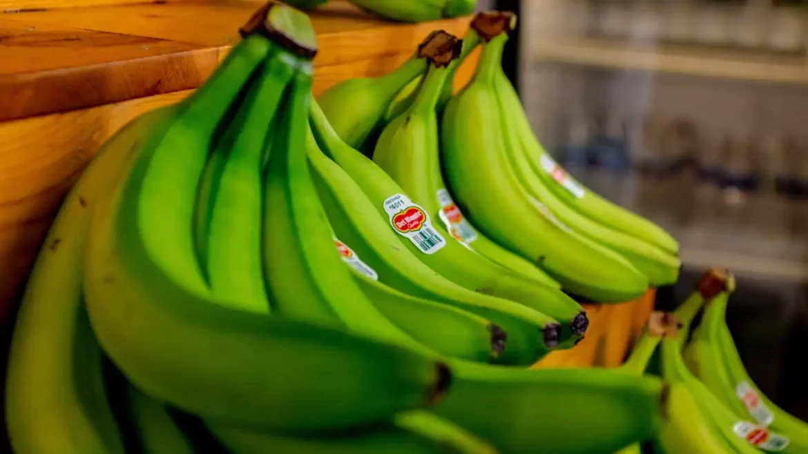 Cancer : les bienfaits de la banane verte