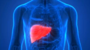 Hépatite E : tout ce qu'il faut savoir
