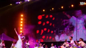 Vodun Days au Bénin : avis de quelques artistes