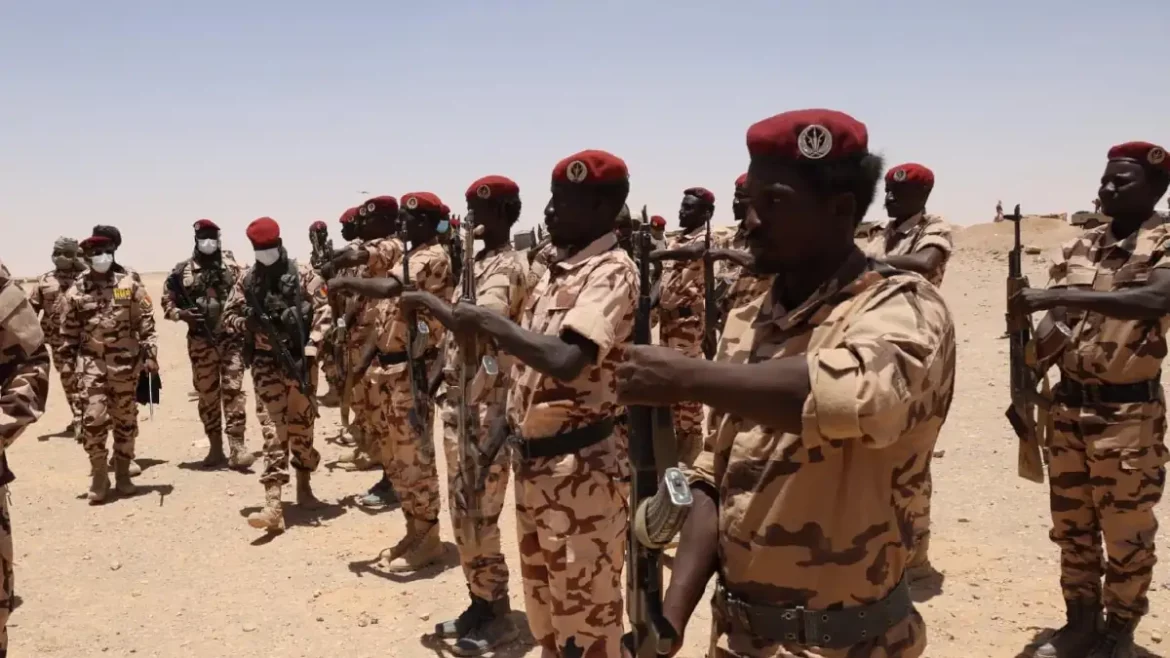Tchad : tirs à l'arme lourde, ce que l'on sait