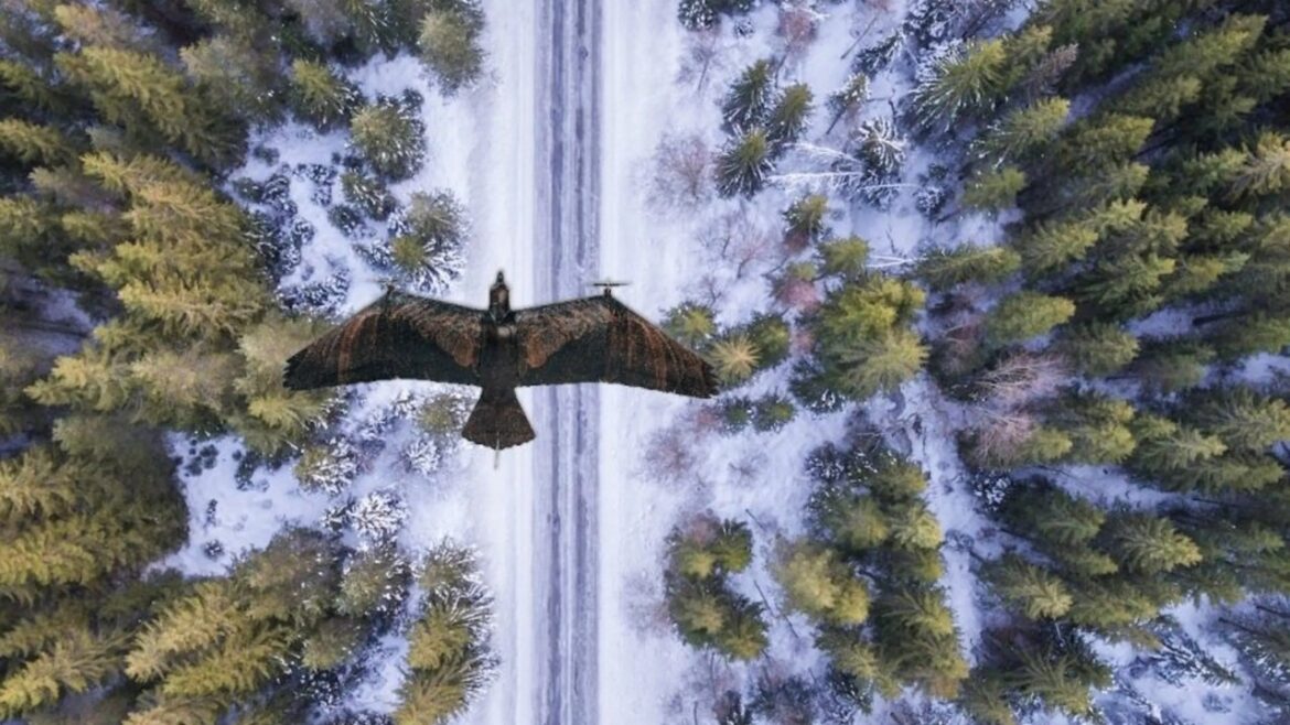 Un drone en forme d’aigle promet de révolutionner la surveillance de l’ennemi