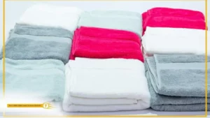 GDIZ au Bénin : Les serviettes « Made in Benin » bientôt disponibles 
