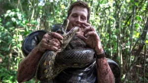 Un serpent géant de 8 mètres découvert par des scientifiques (vidéo)