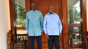Côte d'Ivoire : vers une alliance Gbagbo - Thiam ?