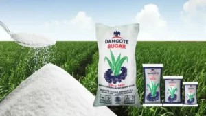Nigeria : Dangote veut transformer totalement ce secteur