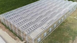 Un fabricant européen dévoile des panneaux solaires révolutionnaires