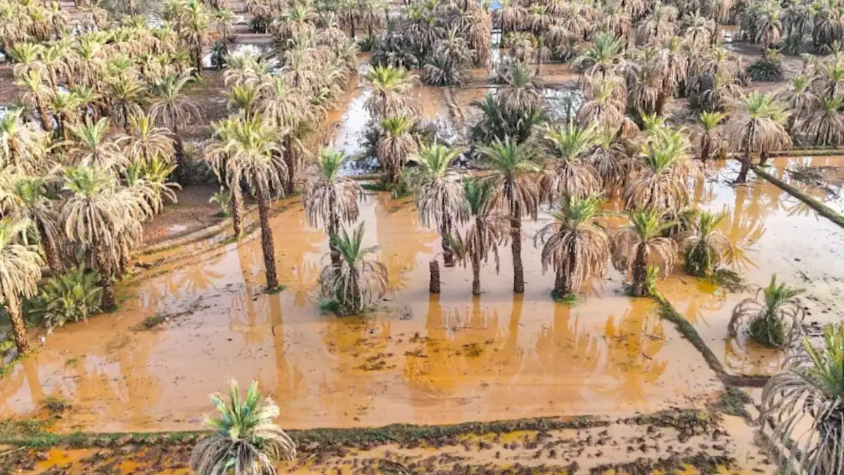 Maghreb: plusieurs régions sous l'eau, la circulation sur des axes routiers pertubée