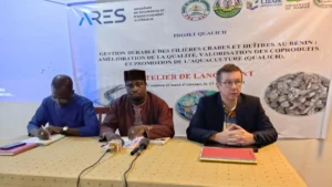 Gestion durable des filières de crabes et d'huîtres au Bénin : Lancement du projet Qualich