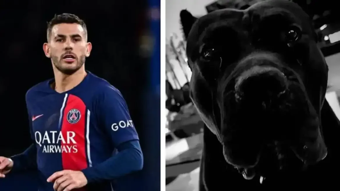 Le cambriolage chez une star du PSG avorté grâce à son chien