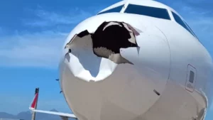 Un avion percute violemment un oiseau, ce qu'on sait