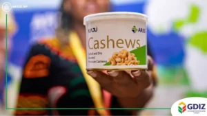 Gdiz : Bénin Cashew obtient 10 millions d’euros auprès de la Bidc
