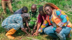 Reboisement dans la forêt sacrée d’Anavié : la GDIZ s’engage pour la biodiversité