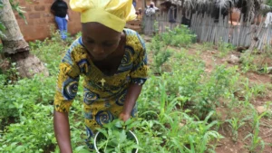 Projet CASCADE au Bénin : Des femmes dynamisent la production locale
