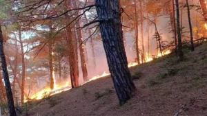 Poutine : vaste incendie près d'une de ses résidences ? Ce qu'il en est