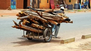 Bénin : Fin de la circulation des pousses-pousses sur les grandes artères