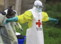 Le virus Ebola fait quatre morts en Ouganda