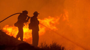 Incendie aux USA: il voulait brûler une araignée