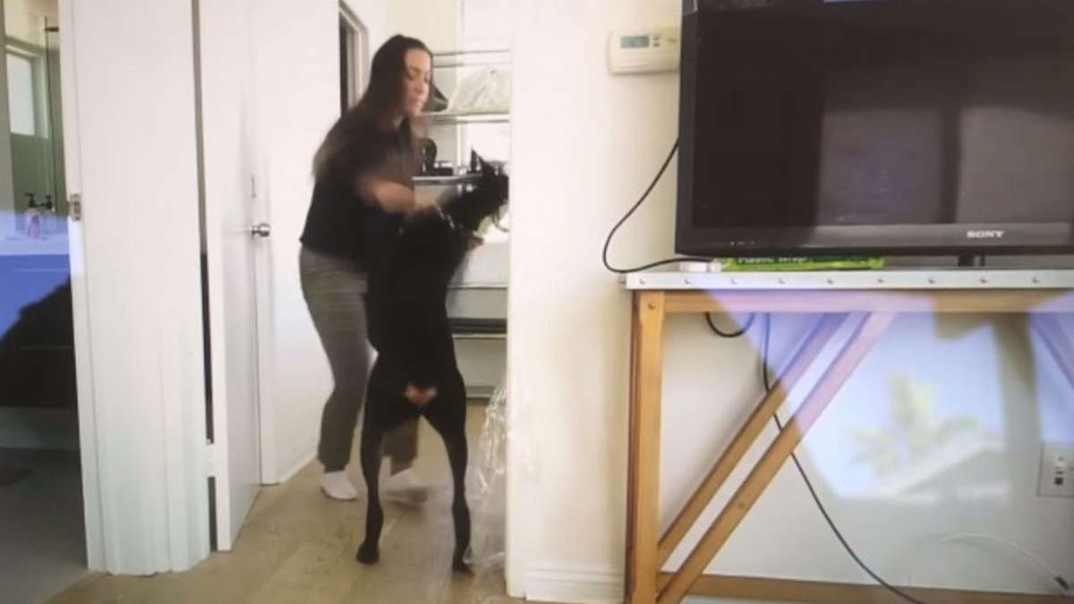 Brooke Houts : la youtubeuse américaine diffuse une vidéo d'elle en train de battre son chien